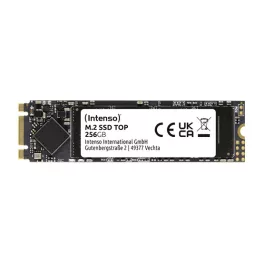 Intenso 256GB Top Performance M.2 - 3832440