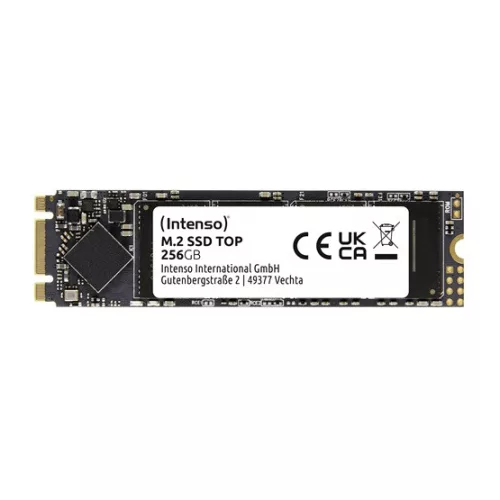 Intenso 256GB Top Performance M.2 - 3832440