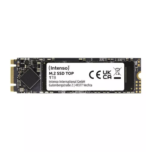 Intenso 1TB Top Performance M.2 - 3832460