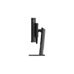 Lenovo 49" ThinkVision P49w-30 monitor - Raven Black
