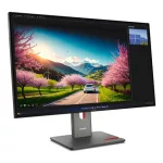 Lenovo 31,5" ThinkVision P32UD-40 monitor - Raven Black - PIVOT