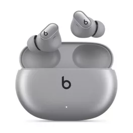 Apple Beats Studio Buds Plus - Cosmic Silver