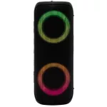 White Shark GBT-876 MADAL bluetooth v5.1 hangszóró 2x10W - fekete