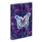 Füzetbox OXY A/4 Butterfly
