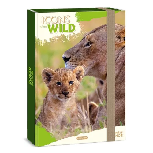 Füzetbox ARS UNA A/4 Icons of the Wild-Lions