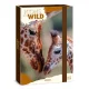 Füzetbox ARS UNA A/4 Icons of the Wild-Giraffes