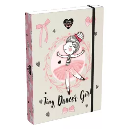 Füzetbox LIZZYSULI A/5 Tiny dancer lovelly ballerina
