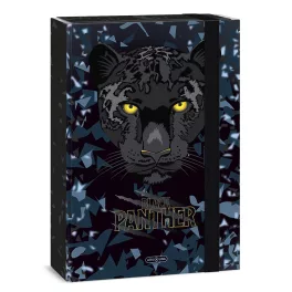 Füzetbox ARS UNA A/4 Black Panthers