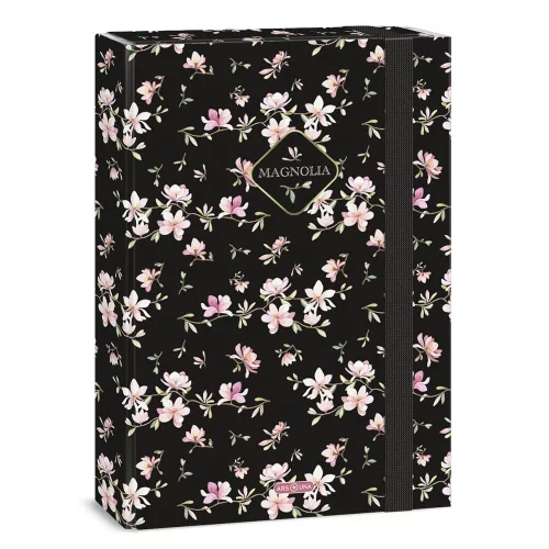 Füzetbox ARS UNA A/4 Magnolia 5542